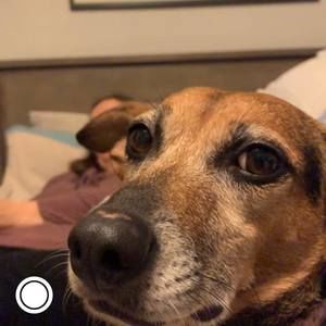 Meet your Posher, Kristen